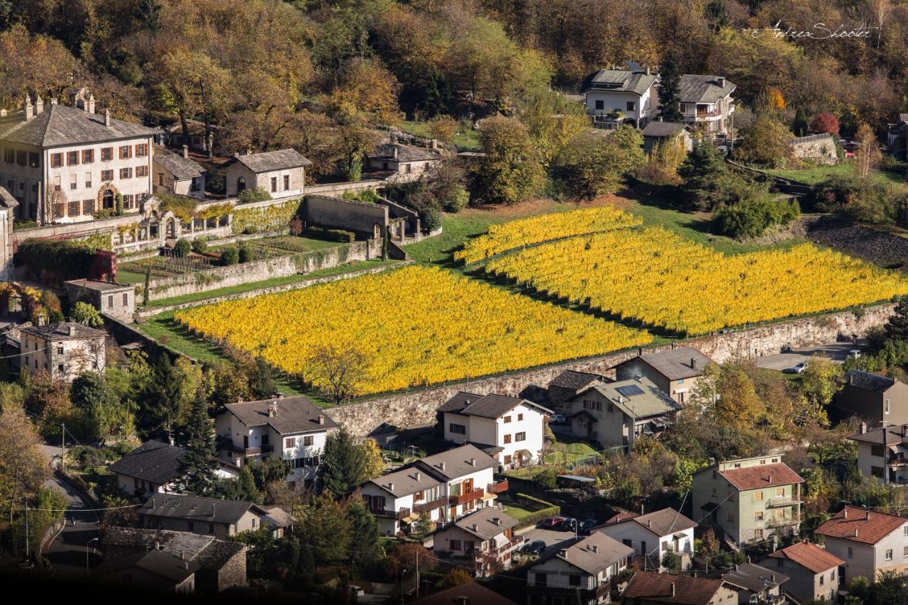 Ca Bregaglia - Appartamenti Per Vacanze Prosto di Piuro Exterior foto