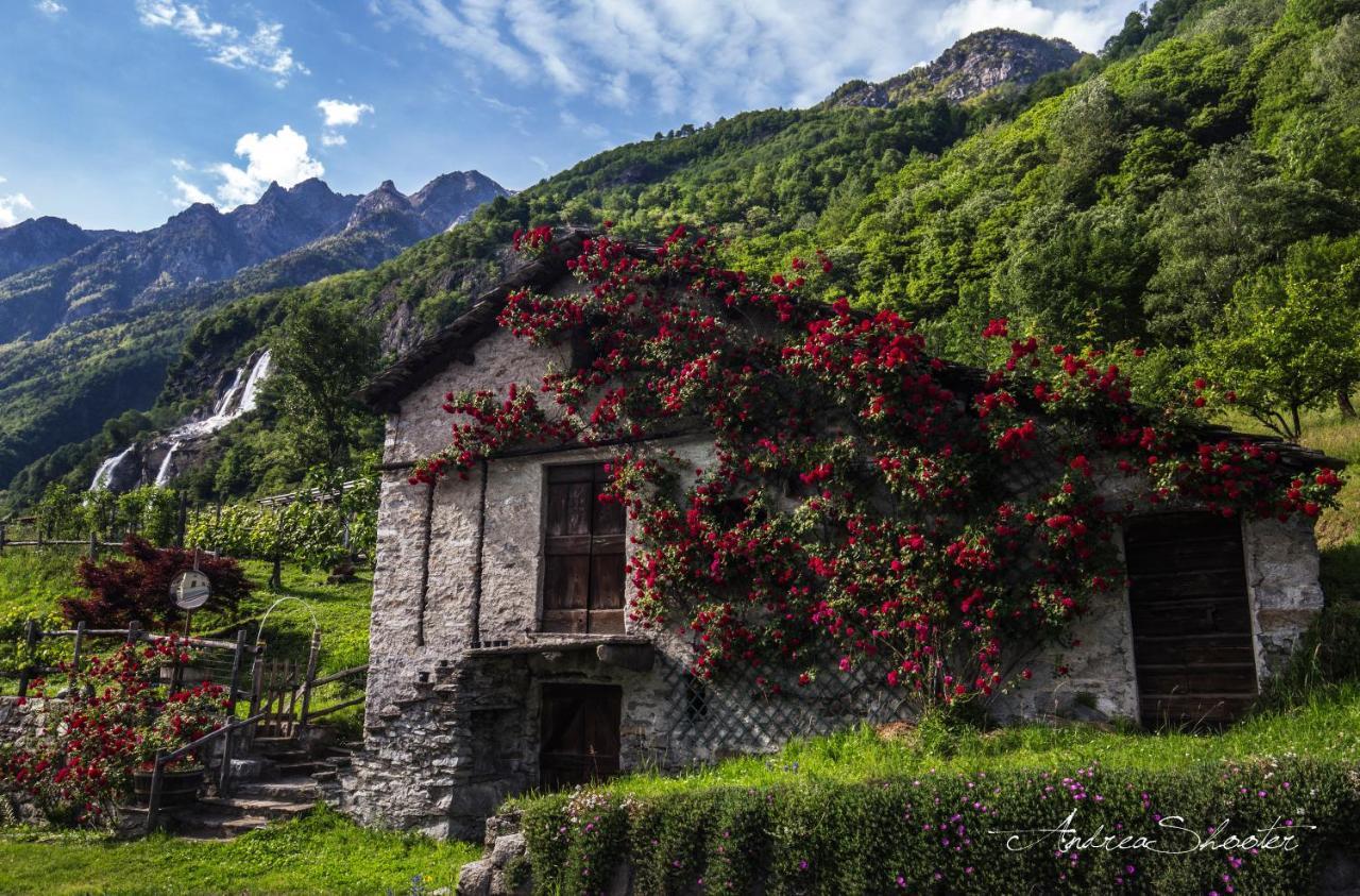 Ca Bregaglia - Appartamenti Per Vacanze Prosto di Piuro Exterior foto